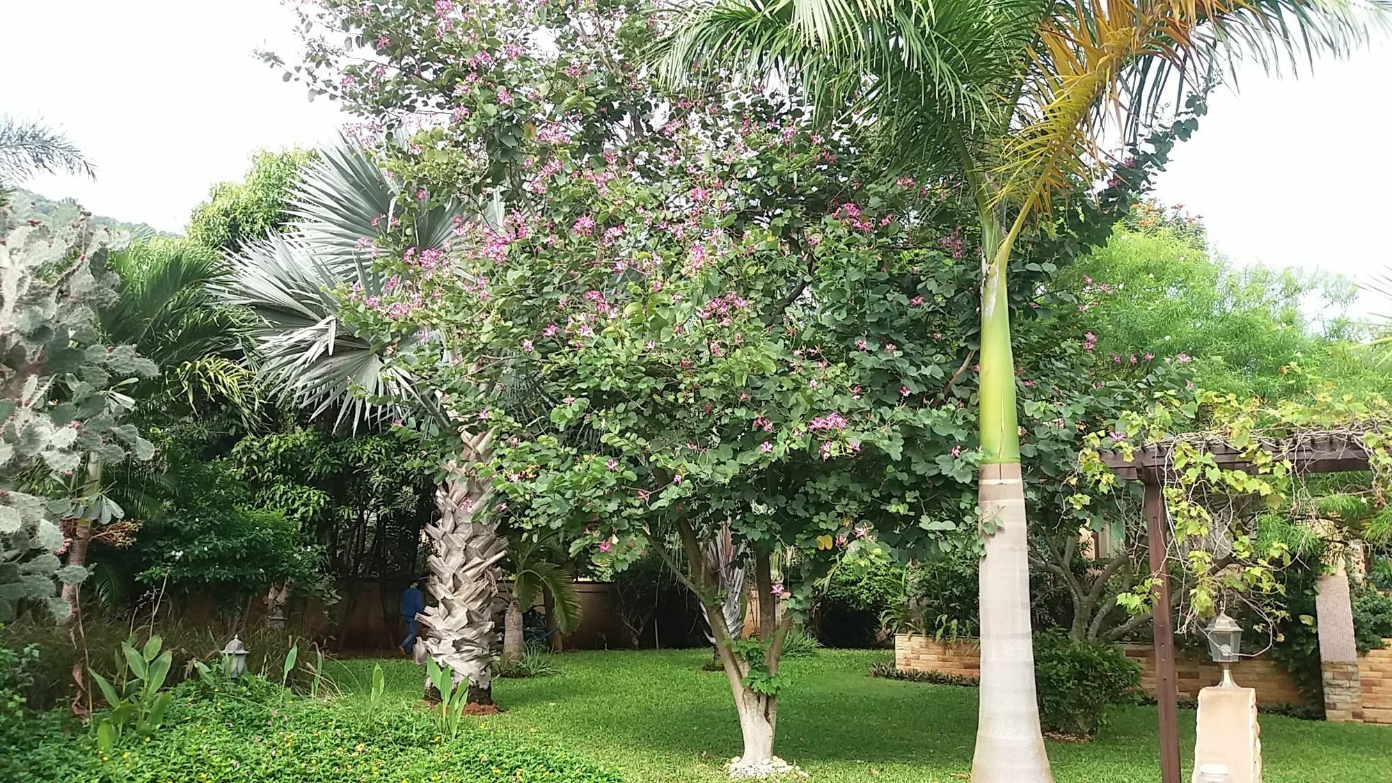 Malee Garden Villa Pran Buri Exterior foto